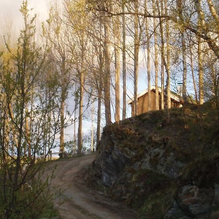 Ivaregga Vinterstua Tolga Exteriér fotografie