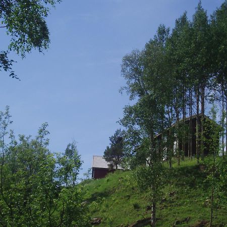 Ivaregga Vinterstua Tolga Exteriér fotografie