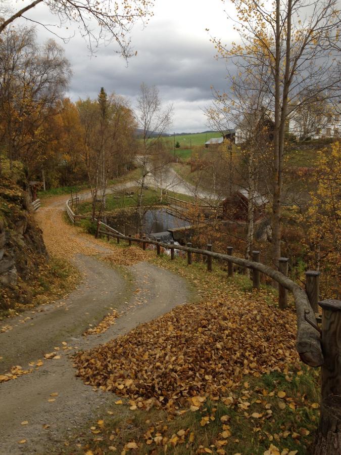 Ivaregga Vinterstua Tolga Exteriér fotografie