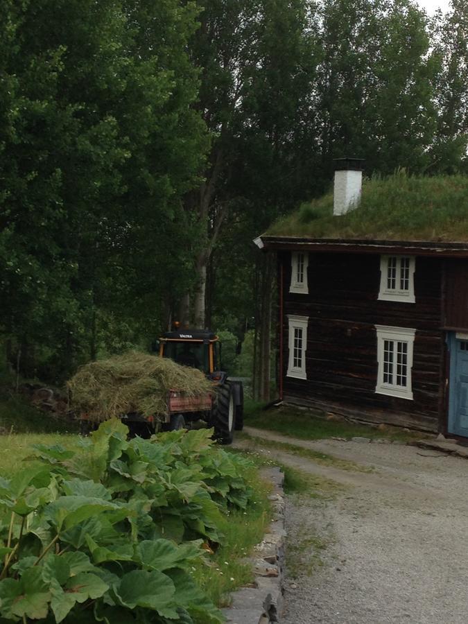 Ivaregga Vinterstua Tolga Exteriér fotografie