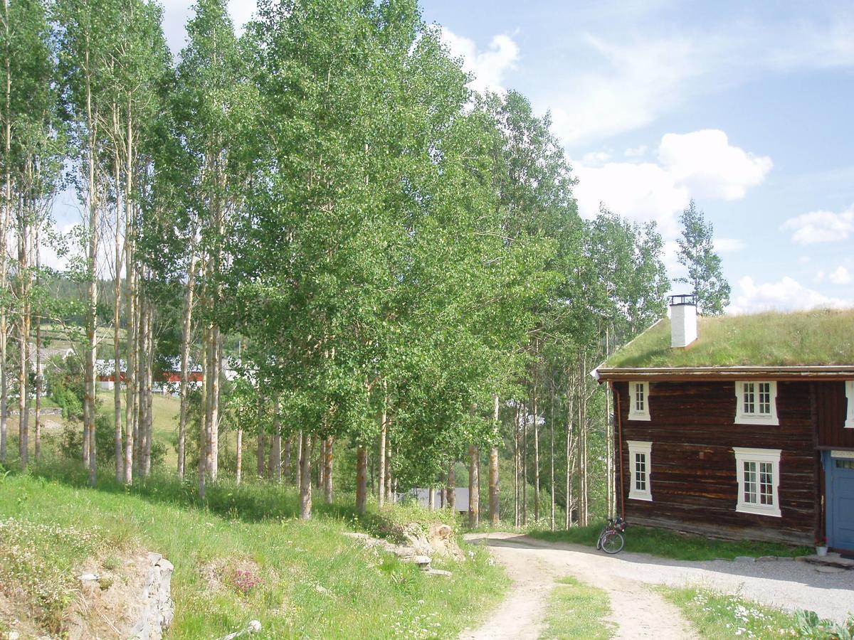 Ivaregga Vinterstua Tolga Exteriér fotografie